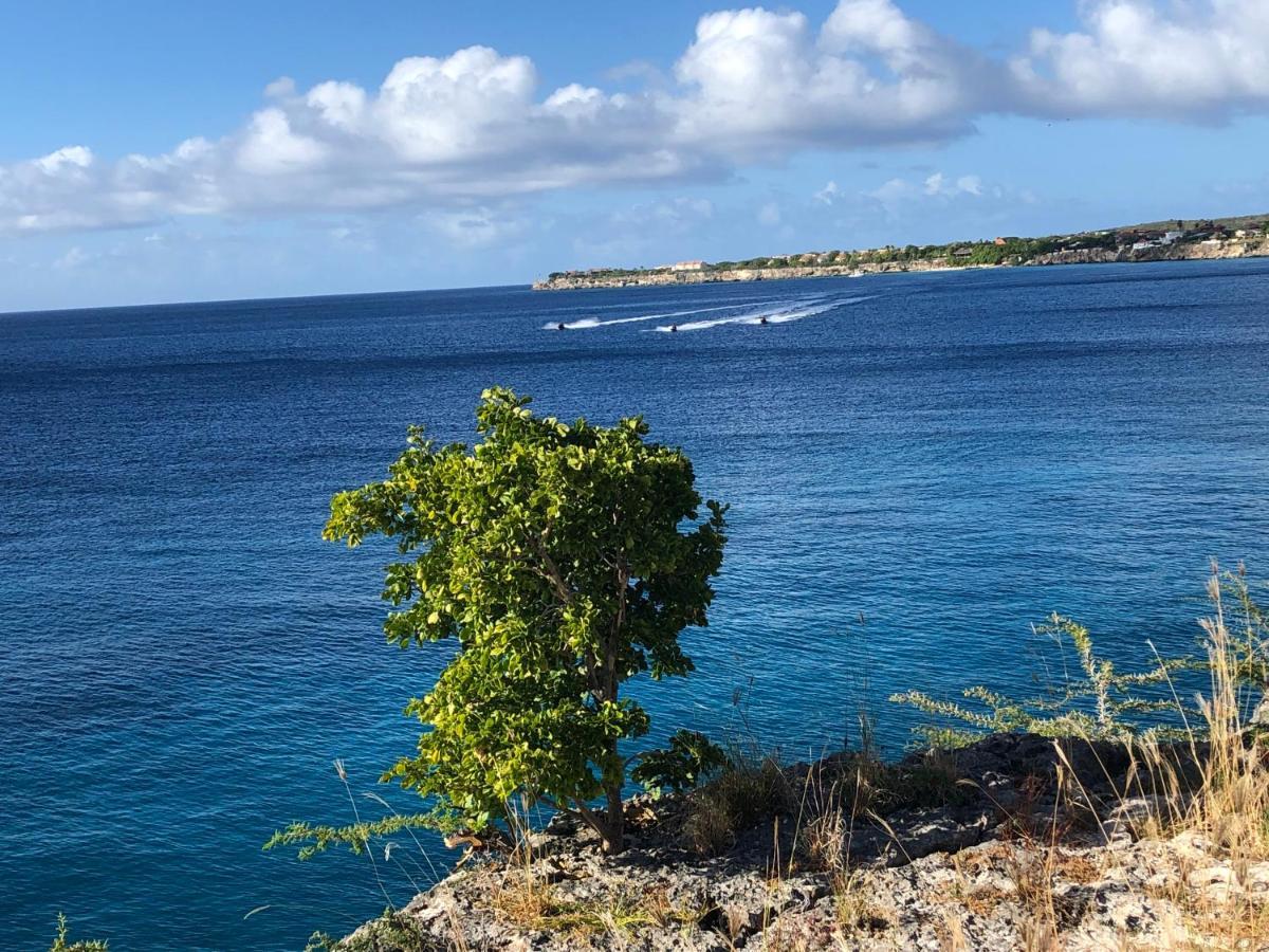 Marazul Dive Resort. 3 Bedroom Seafront House. Dive, Snorkel, Enjoy Amazing Sunsets Westpunt Bagian luar foto