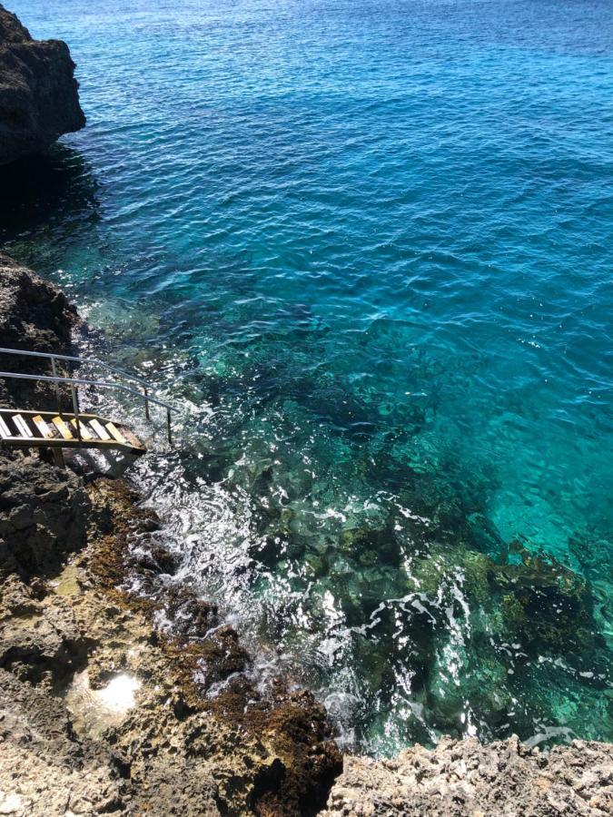Marazul Dive Resort. 3 Bedroom Seafront House. Dive, Snorkel, Enjoy Amazing Sunsets Westpunt Bagian luar foto